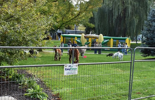 CrowdControlFenceRental-3