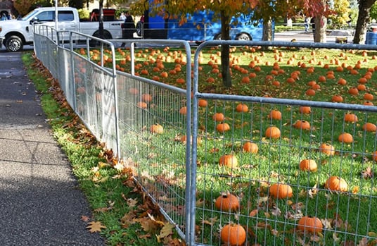 CrowdControlFenceRental-4