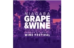 Grapeandwine