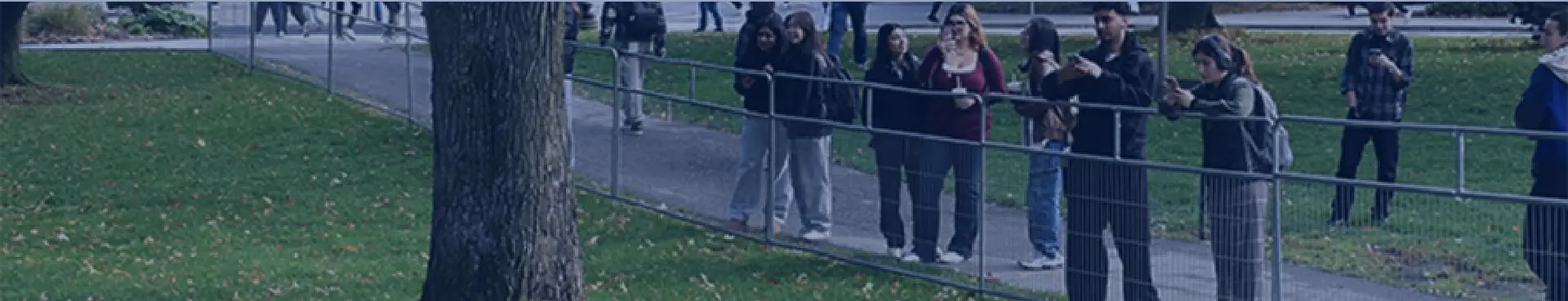 Crowd Control Fence