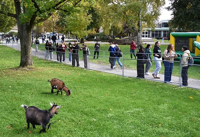 Crowd Control Fencing at a school event