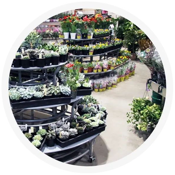 Floristspic1 Floristspic1