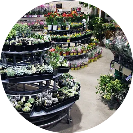 Florists Merchandising Fixtures