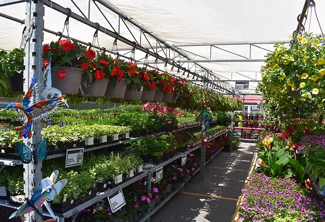 Garden Centre stocked with flowers