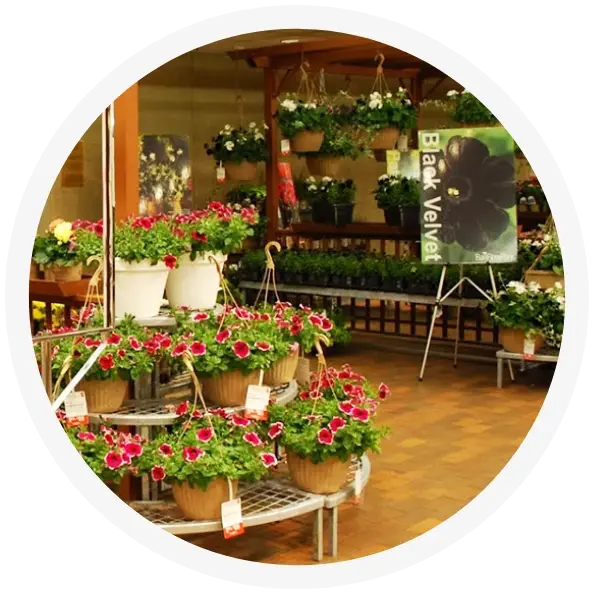 GroceryStorespic1 GroceryStorespic1