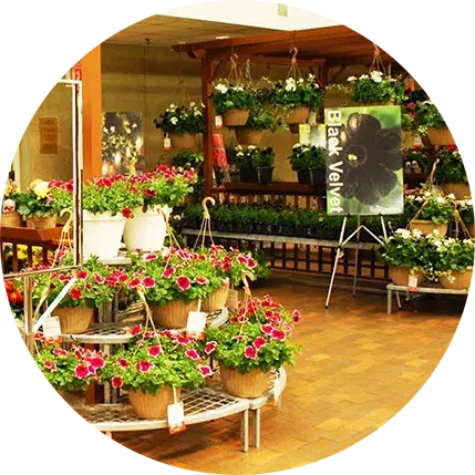 Grocery Store Florist Merchandising