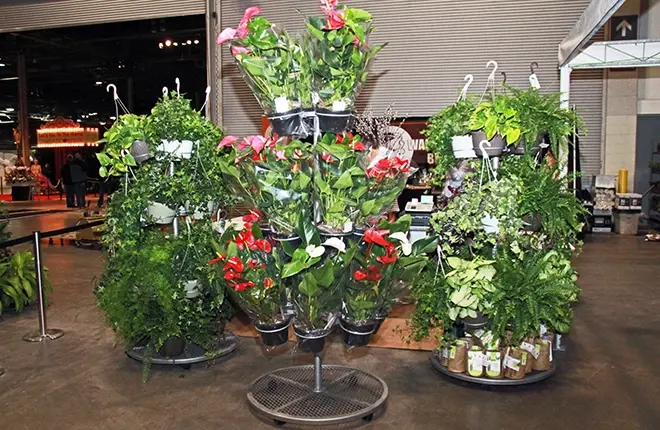 CIRCLESERIESDISPLAYCARTpic2reduced