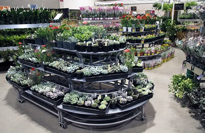 FLORALDISPLAYpic2reduced