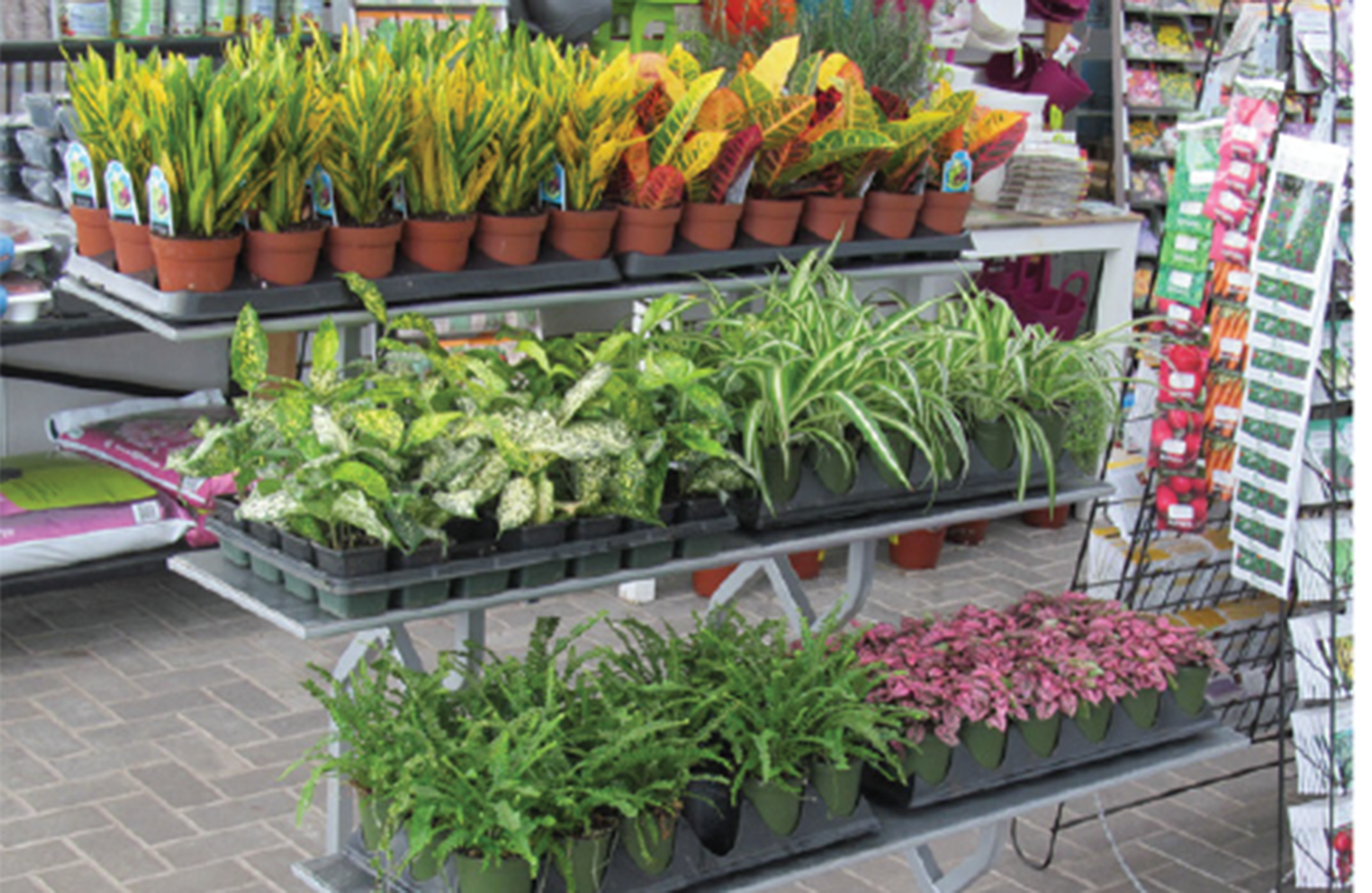 3-tier display showcasing plants, flowers, shrubs, and seasonal garden centre products