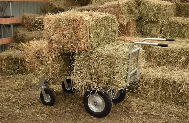ALLTERRAINCARTpic1reduced