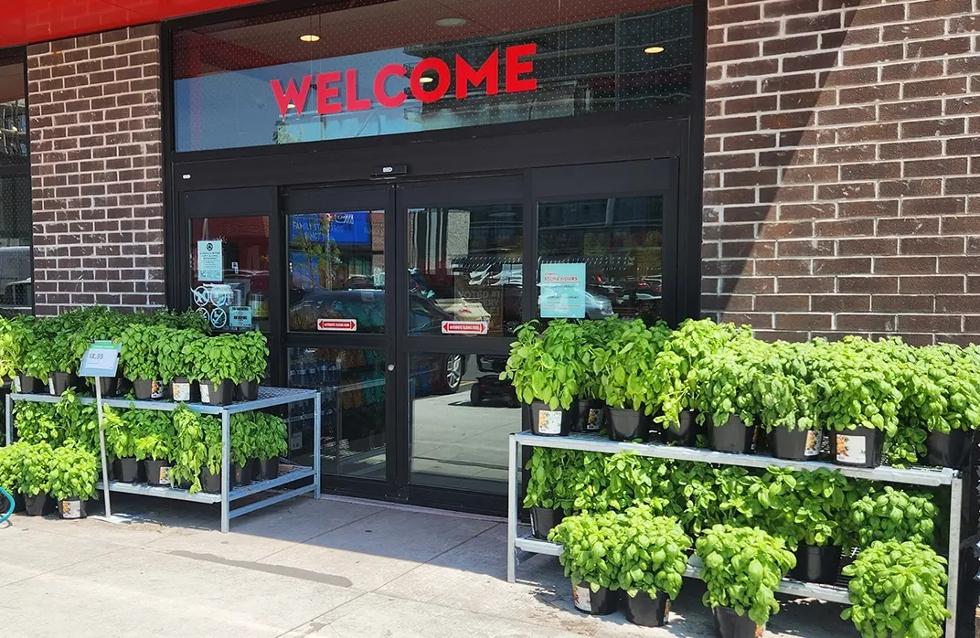 Power Point Display System for retail product promotion, and garden centre merchandising