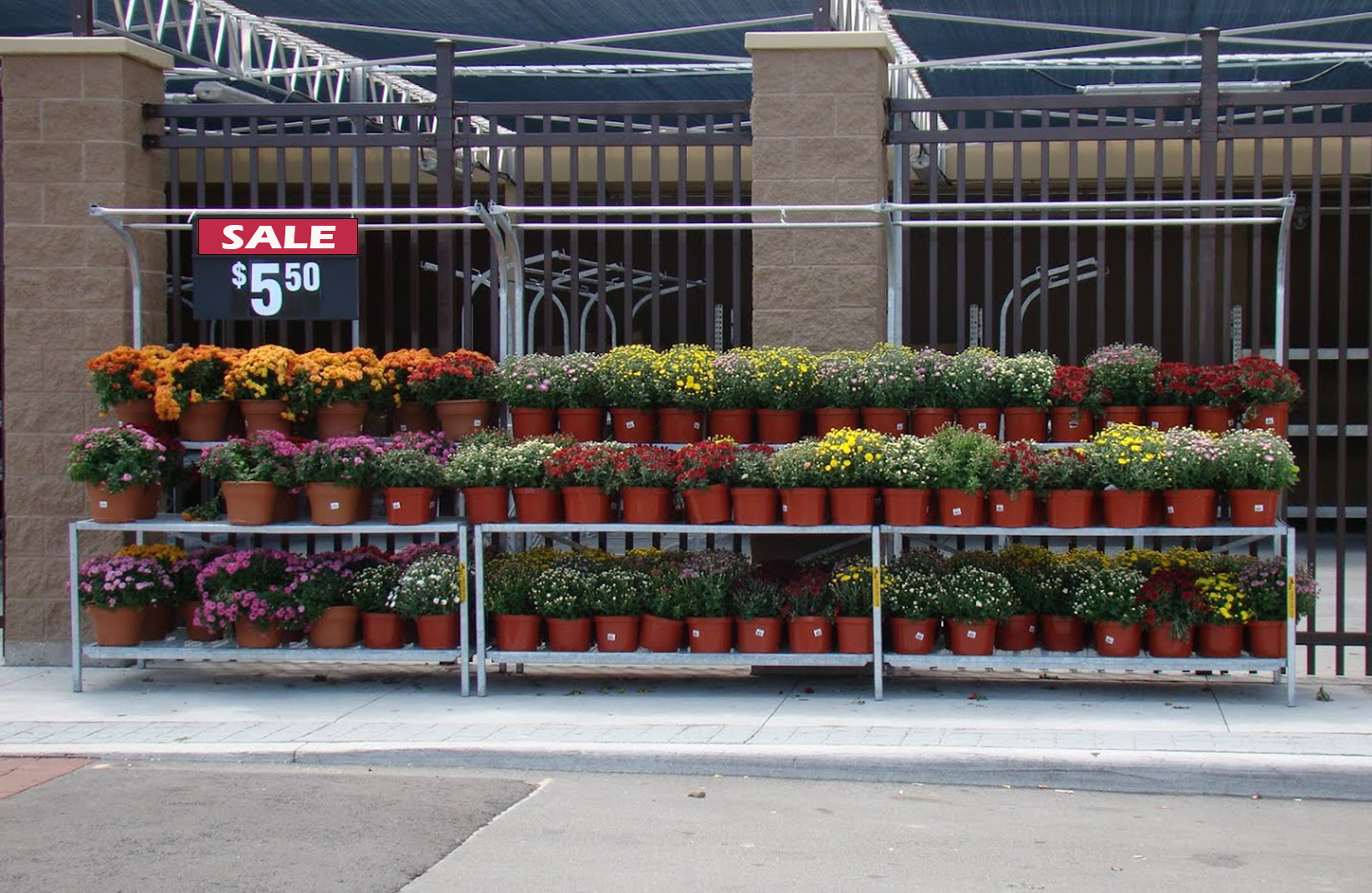 Power Point Display System for retail product promotion, and garden centre merchandising
