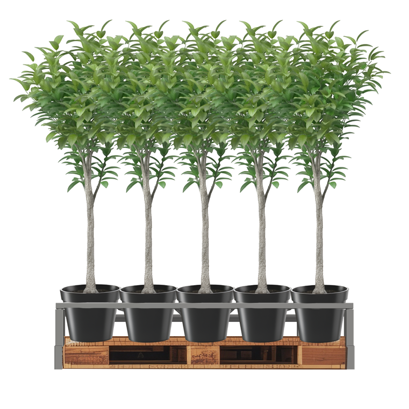 Mulch Bin and Tree Stand providing organized displays for mulch, soil, trees, and seasonal garden centre products