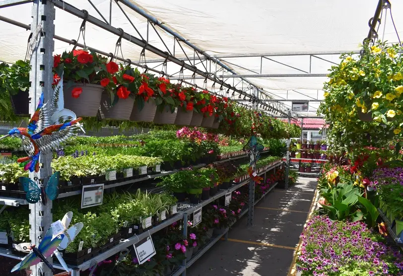 GardenCentrepic