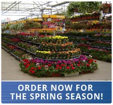 Order Now for Spring Season